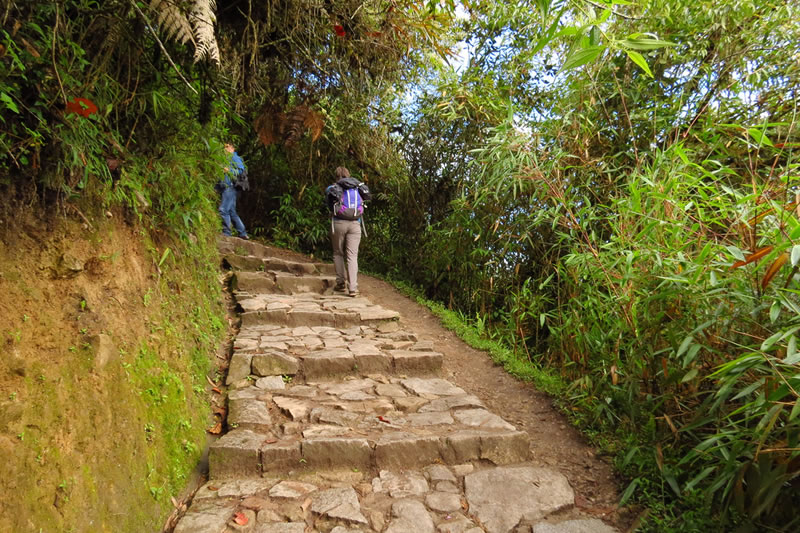 Pago a la Tierra en los Andes trekking aguas calientes to machu picchu