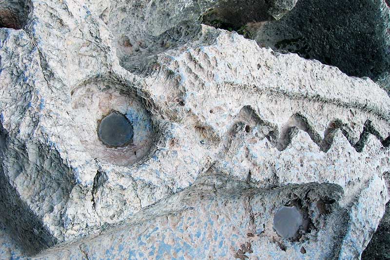 Carved stone where blood and chicha were offered